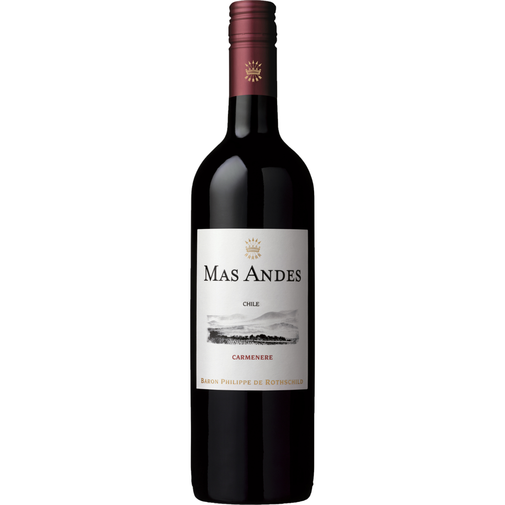 [5734] Mas Andes, 2020 Carmenere 75cl