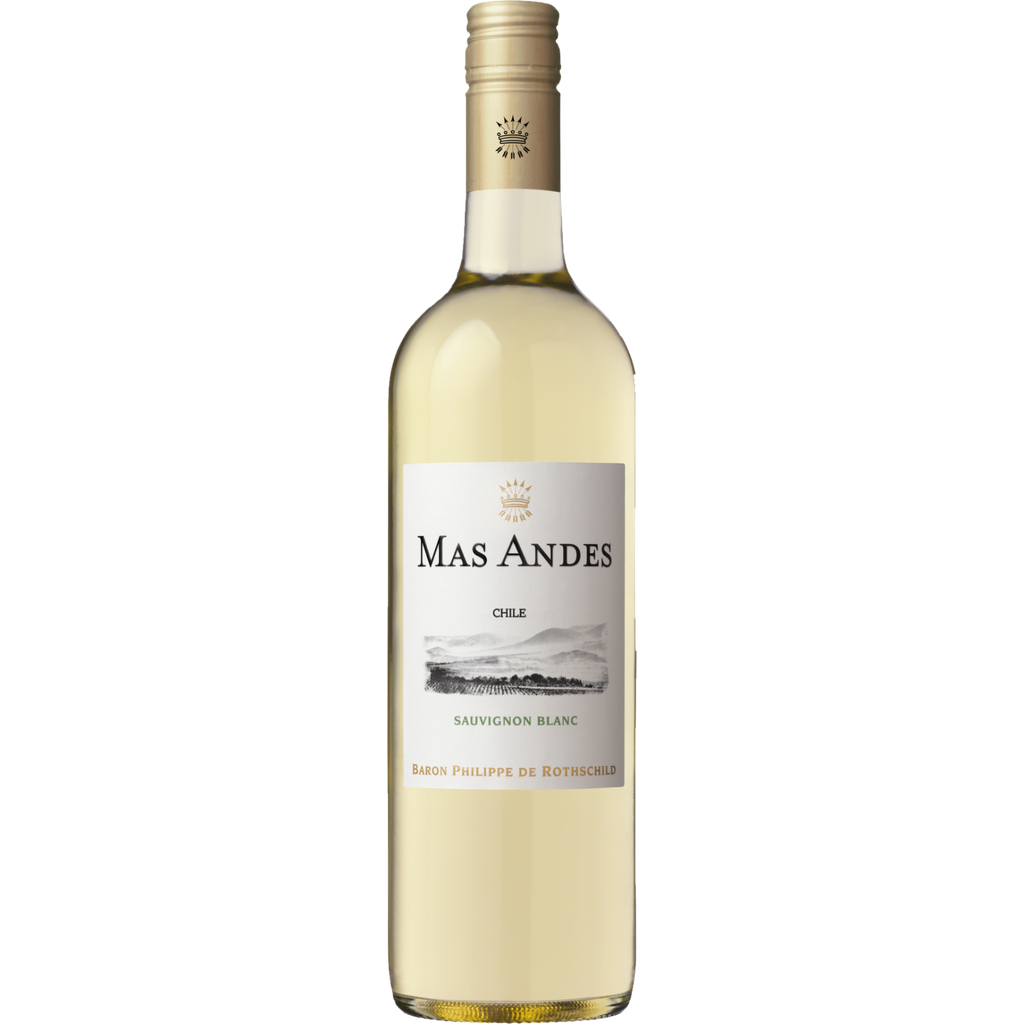Mas Andes 2022 Sauvignon Bl 75cl