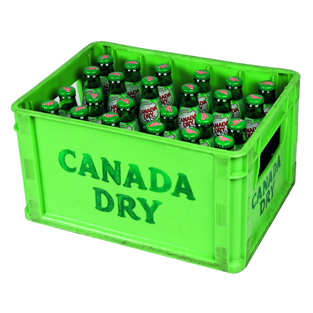 [1609] Canada Dry 24x20cl