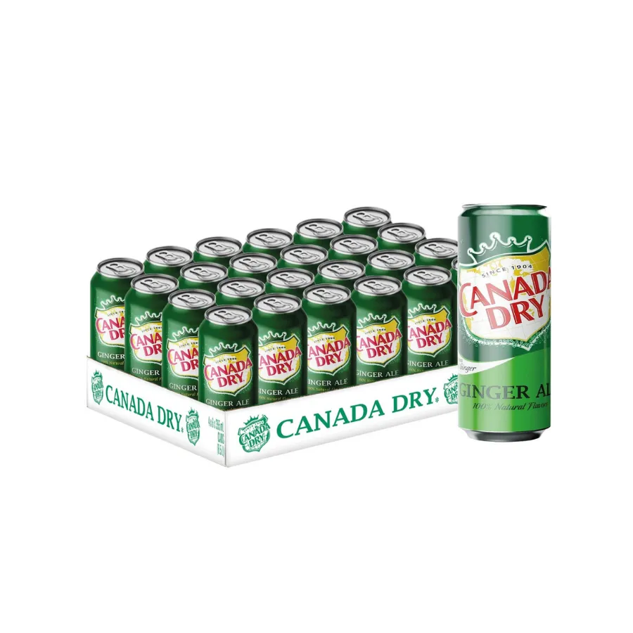 Canada Dry blik 24x33cl