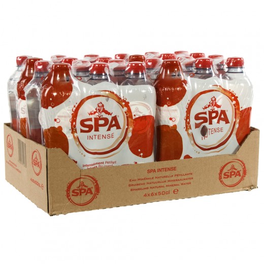 Spa Intense Pet 24x0,5L