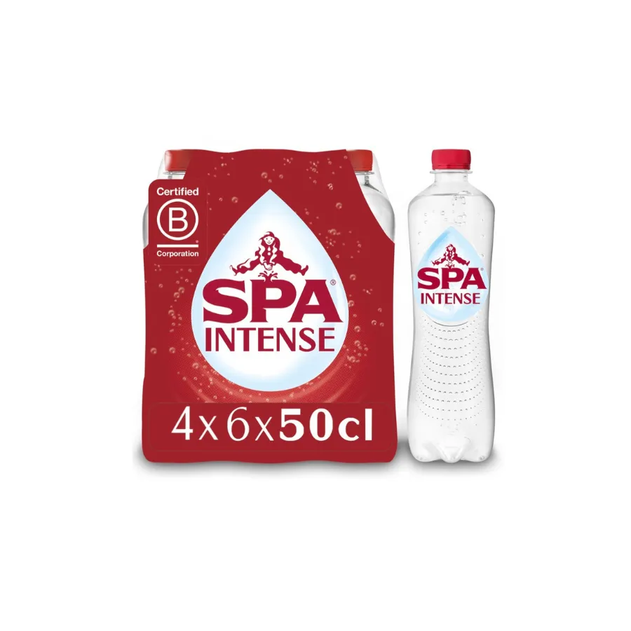 Spa Intense Pet 24x0,5L