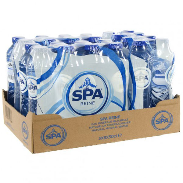 [1730] Spa Reine Pet 24x0,5L
