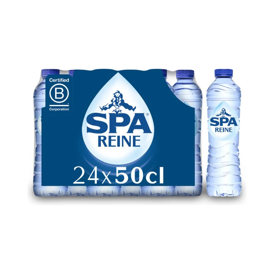 [1730] Spa Reine Pet 24x0,5L