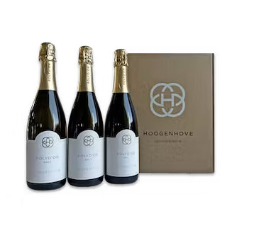 Polyd'Or Brut - Box 3fles